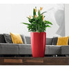 Image of Lechuza Rondo 32 Self Watering Pot - 32cm