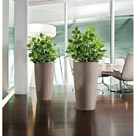 Lechuza Rondo 32 Self Watering Pot - 32cm