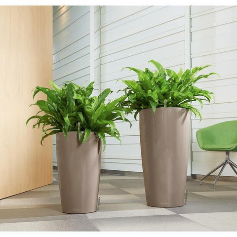 Lechuza Rondo 32 Self Watering Pot - 32cm