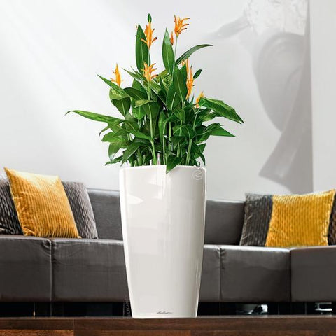 Lechuza Rondo 32 Self Watering Pot - 32cm