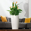 Image of Lechuza Rondo 32 Self Watering Pot - 32cm