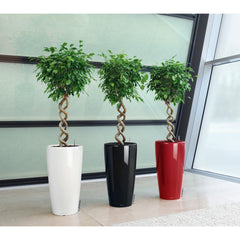Lechuza Rondo 32 Self Watering Pot - 32cm
