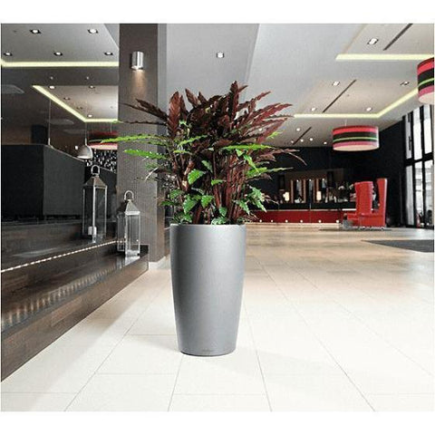 Lechuza Rondo 40 Self Watering Pot - 40cm