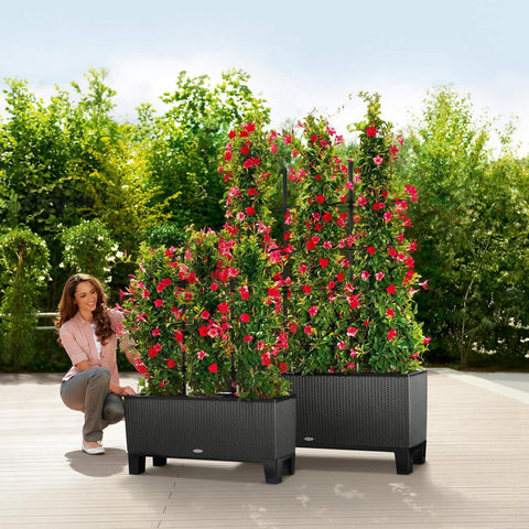 Lechuza Trio 30 Cottage Self Watering Planter Trough