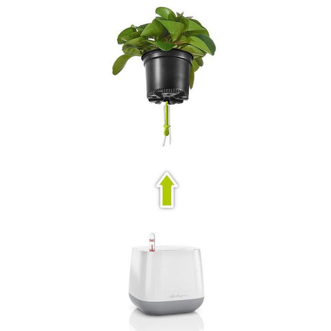 Lechuza YULA Planter