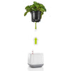 Image of Lechuza YULA Planter
