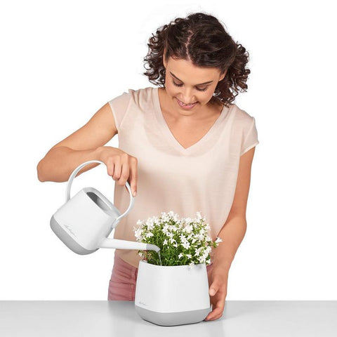 Lechuza YULA Planter
