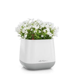 Lechuza YULA Planter