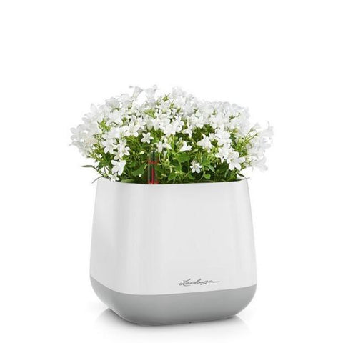 Lechuza YULA Planter