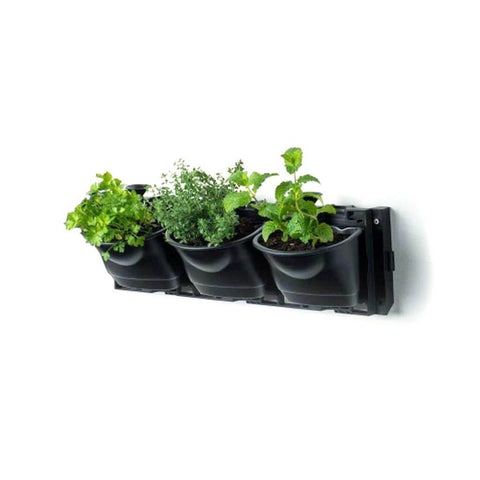 Maze 3 Pot Vertical Garden Wall Planter (48cm x 16cm)