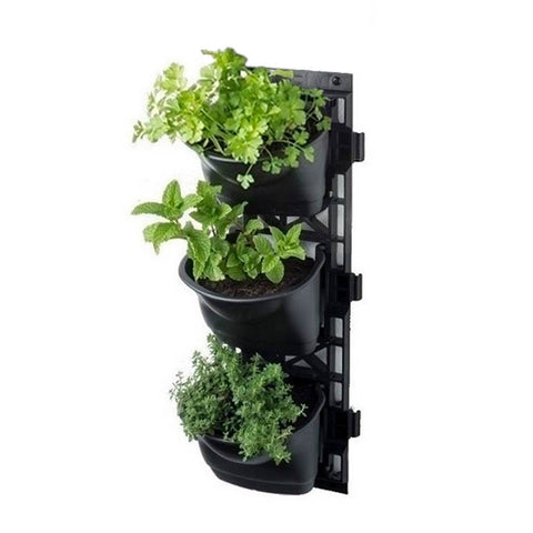 Maze 3 Pot Vertical Garden Wall Planter (48cm x 16cm)