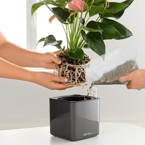 Planting Plate For Stick Systems