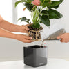 Image of Planting Plate For Stick Systems