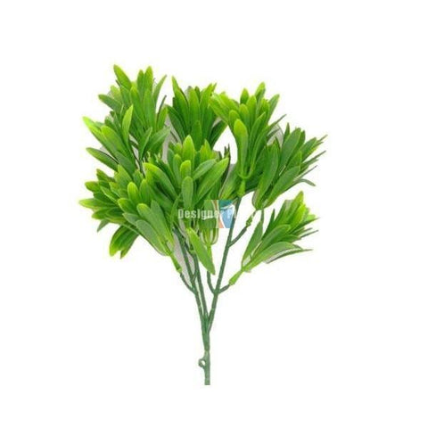 Rohdea Stem