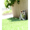 Image of Synthetic Artificial Grass Turf 5 sqm Roll - 20mm
