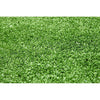 Image of Synthetic Grass 5sqm Roll-8mm