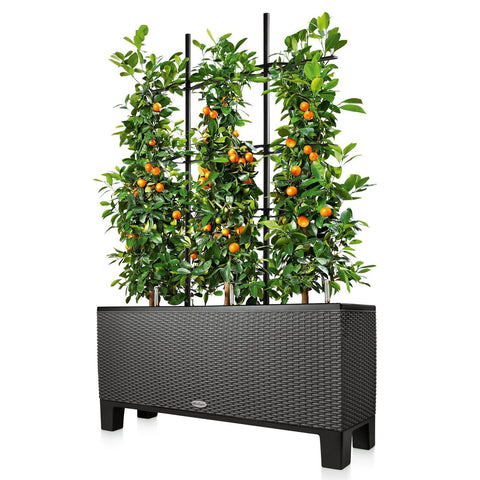 Trellis For Lechuza Trio 30 Self Watering Trough