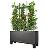Image of Trellis For Lechuza Trio 30 Self Watering Trough