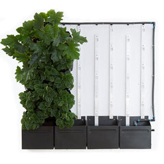 Vicinity Greenwall 40 Pots, Tanks, Pump & Irrigation Kit 1.2m x 1.2m