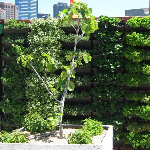 Wallgarden Original Large 50 Pot Bulk Vertical Garden Wall Kit 10SQM