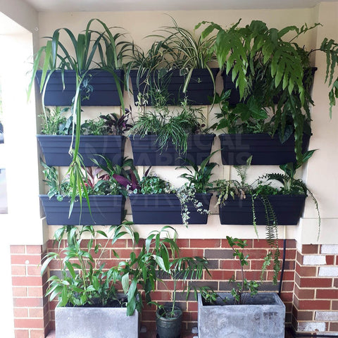 Wallgarden Original Large 50 Pot Bulk Vertical Garden Wall Kit 10SQM